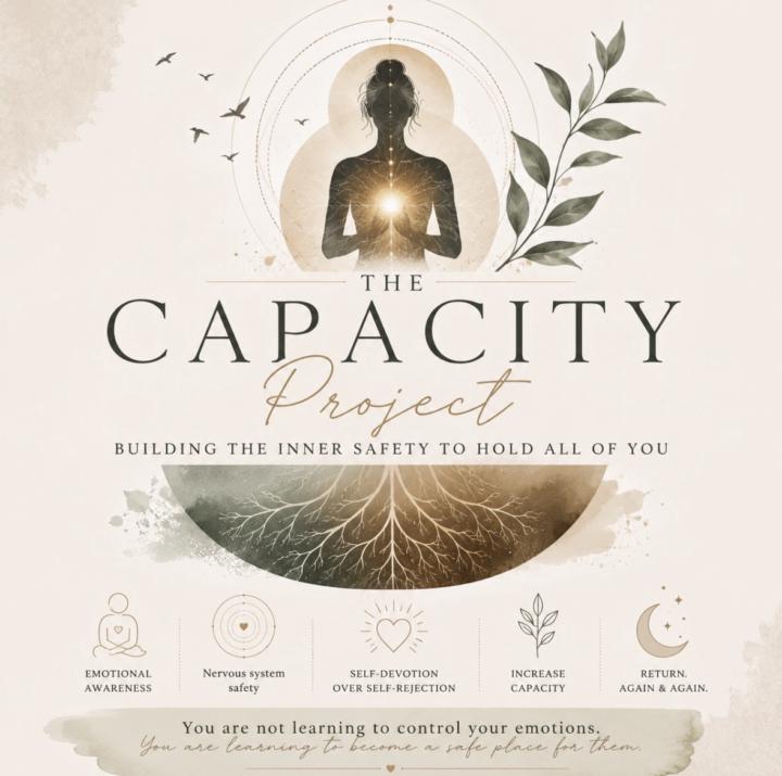 The Capacity Project