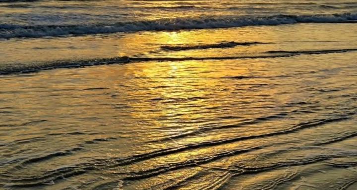 Waves of Poetry