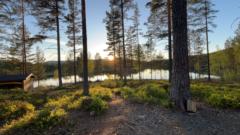 Vilde T