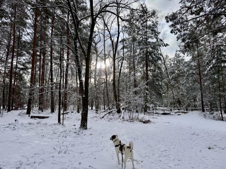 Stell mich auf die Probe.