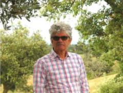 Fernando M branco