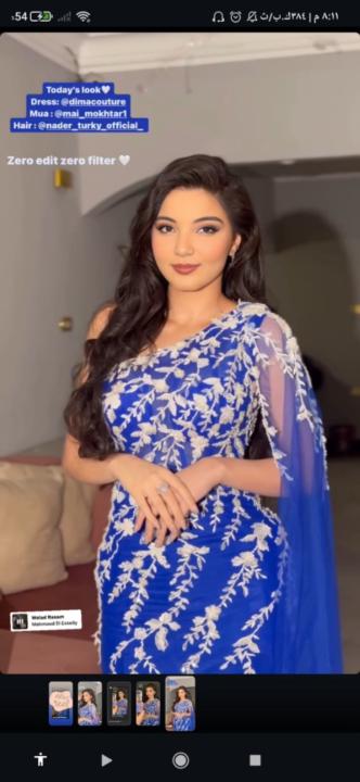 Shahenda Basha