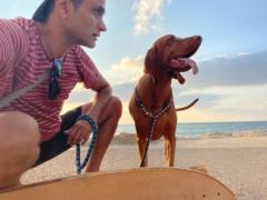 ליאור טהרני