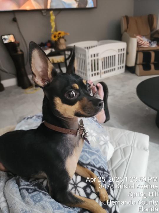 Jacqueline Sierra-Rios Jacqueline Sierra-Rios