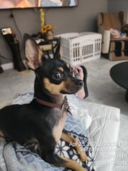 Jacqueline Sierra-Rios Jacqueline Sierra-Rios