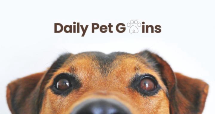 Daily Pet Gains