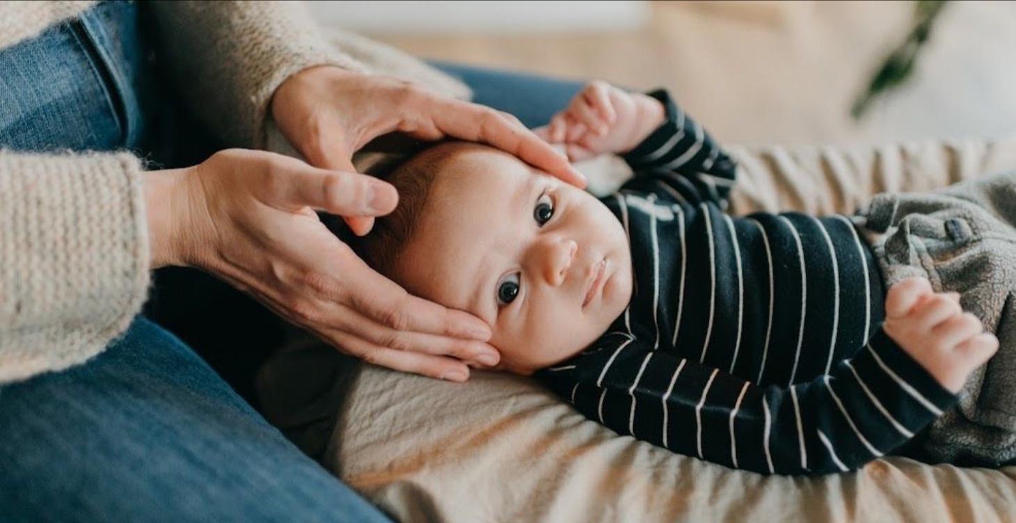 Next Steps & Support Options