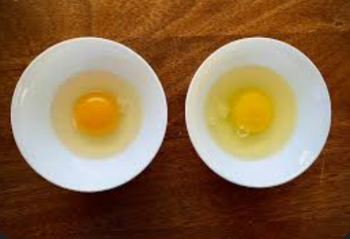 🥚 Yolk Challenge: Can You Spot the Difference?