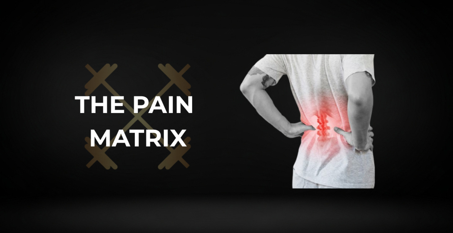 The Pain Matrix