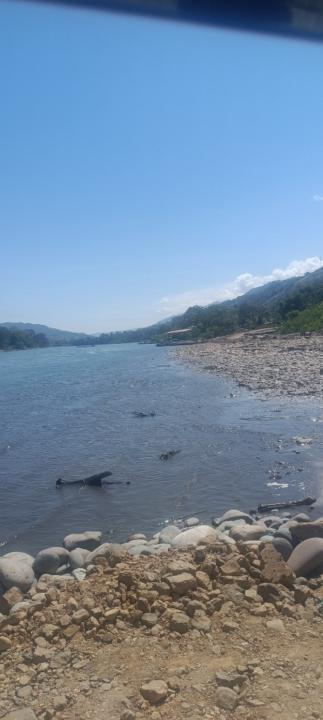 Delmer Bañico lapa