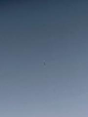 Alberto Toledano Flores