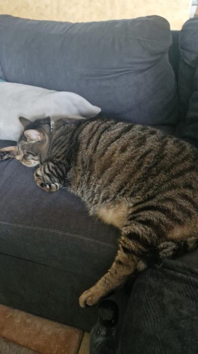 Laurence Elie dit cosaque