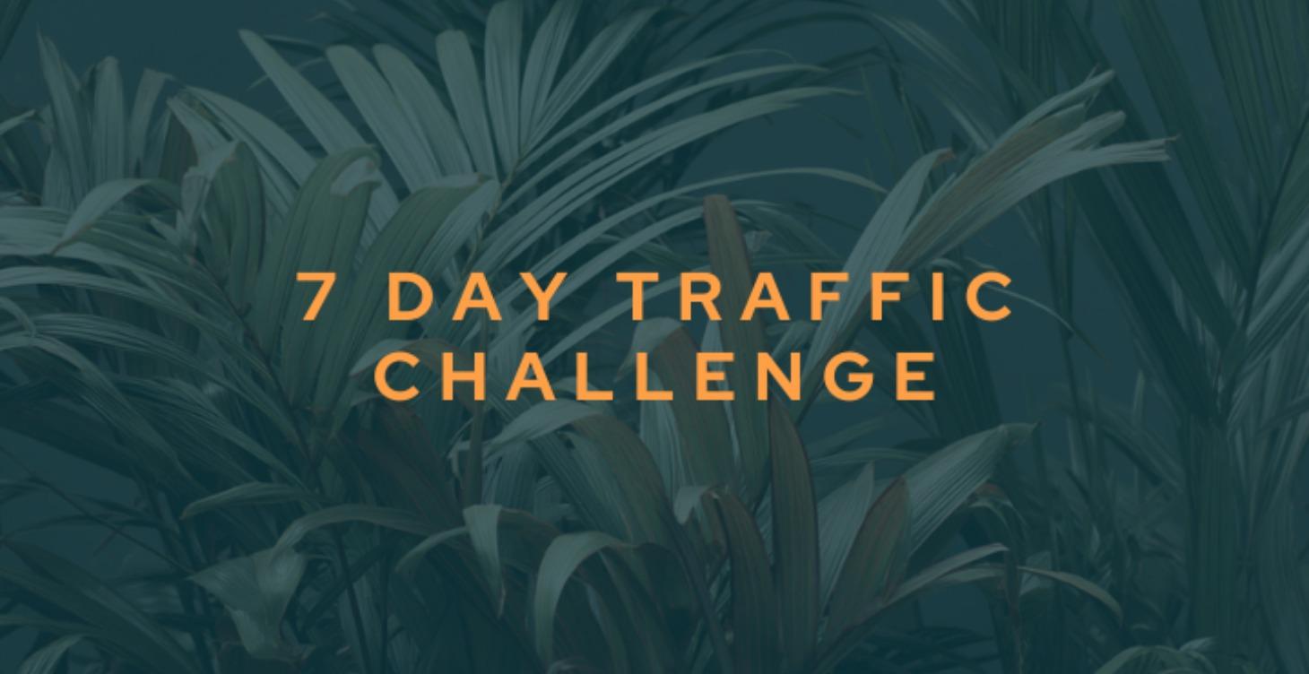 7 Day Traffic Challenge