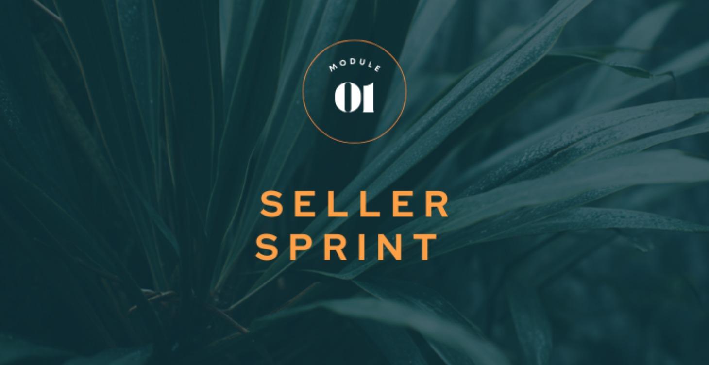 FREE: Seller Sprint ⚡️