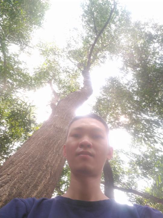 Trương Quốc Hải