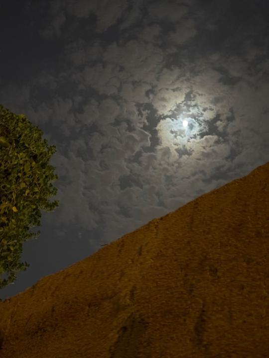 عبدالعزيز X