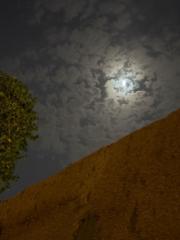 عبدالعزيز X