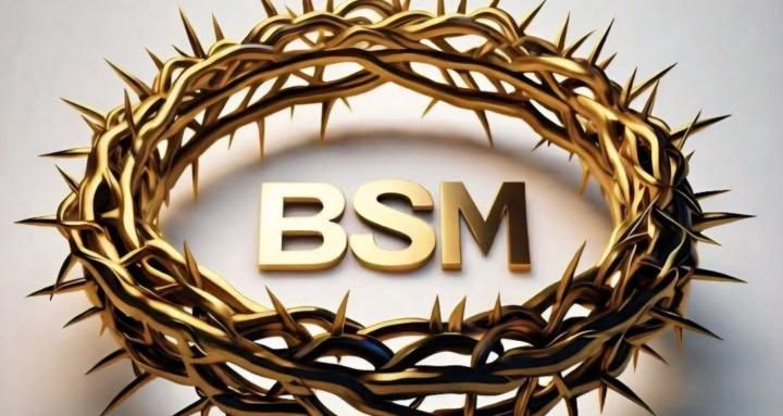 The Virtual Church (B.S.M)