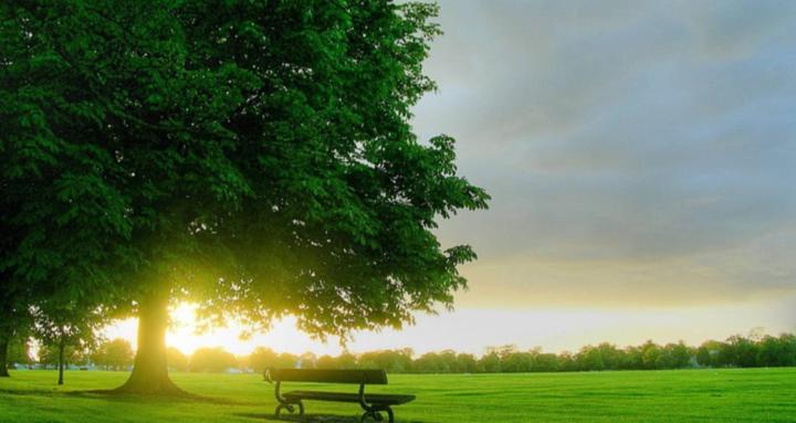 WFH Community & Resources