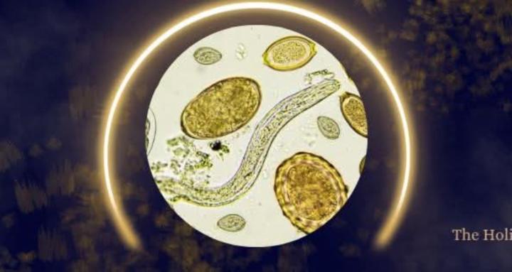 Parasite Cleansing!!