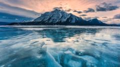 Pamela Okundaye-Edokpayi