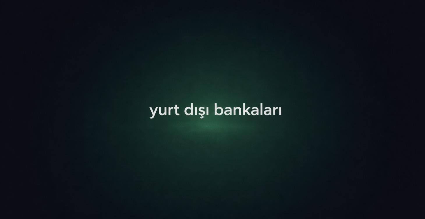 Yurt Dışı Banka Ve Ödeme Çekme Detayları