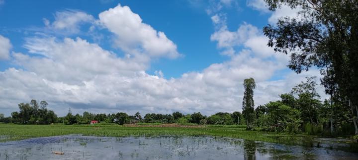 Md. Midhat Islam Rishat