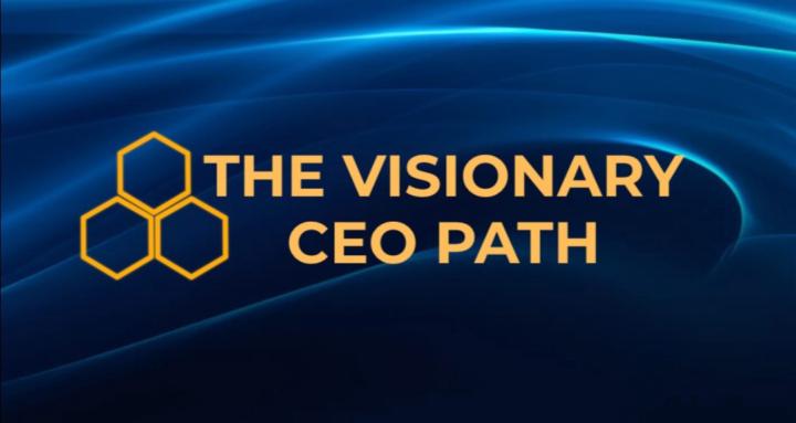 The Visionary CEO Path