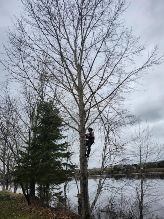 Billy-James Drolet Boulet