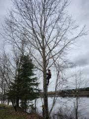 Billy-James Drolet Boulet