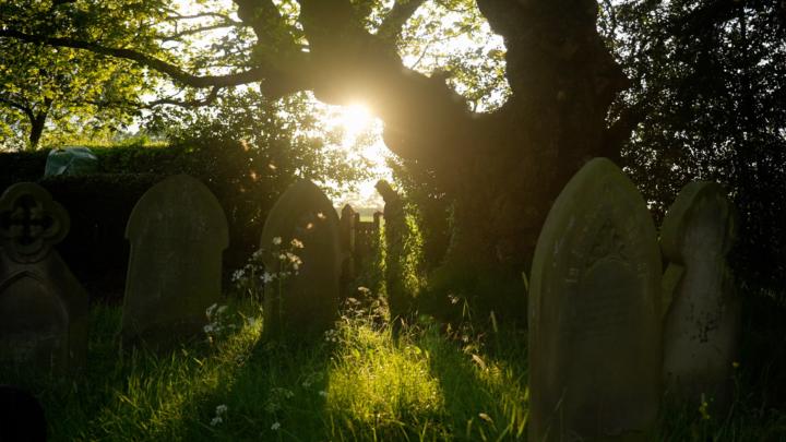 Sharing my first doc scene with you!