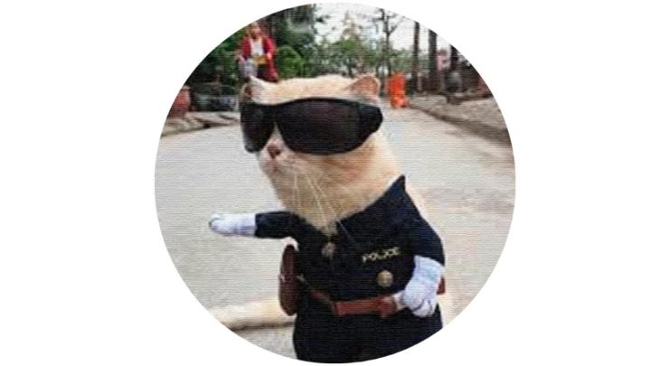 Ricardo dos Santos Fetoza