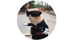 Ricardo dos Santos Fetoza