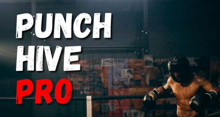Punch Hive Pro
