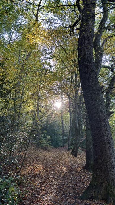 GlückLichT Sein