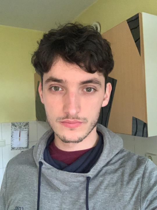 Dino Bibic