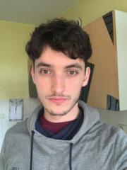 Dino Bibic