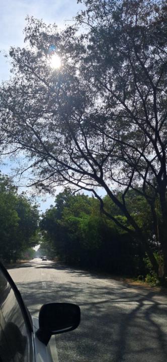 Roshani Arvind Joshilkar