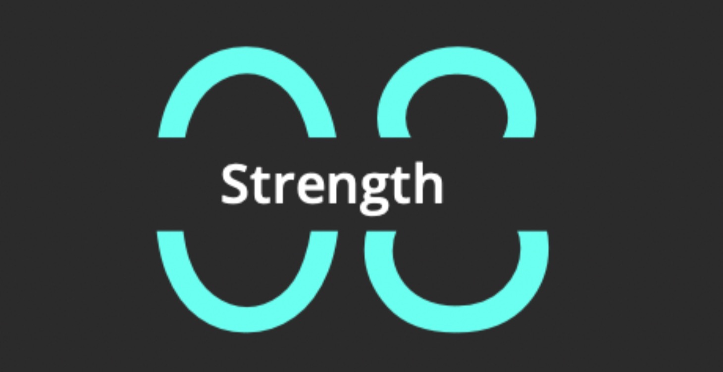 08. Strength