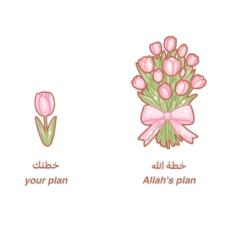 Inayah Ahmed