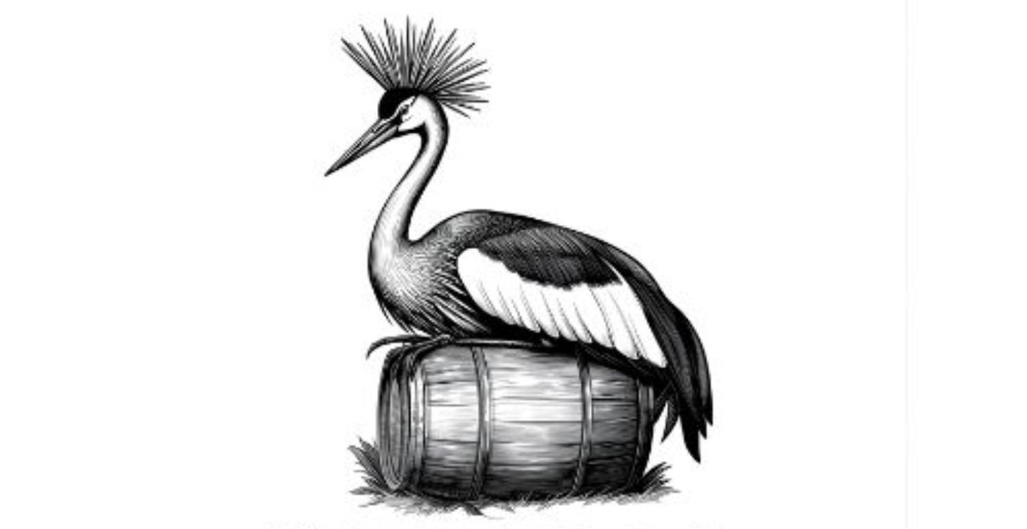 Energy Gym - 5 Elemental Stages of Transformation