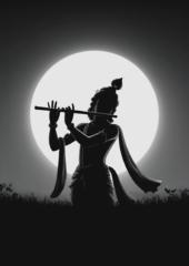 Ns Krishna chari