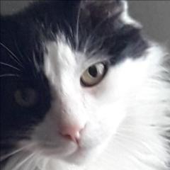 Monica Guerrero Larnaudie