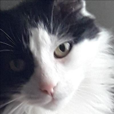 Monica Guerrero Larnaudie