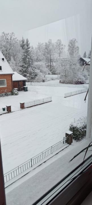 Mitt första inlägg