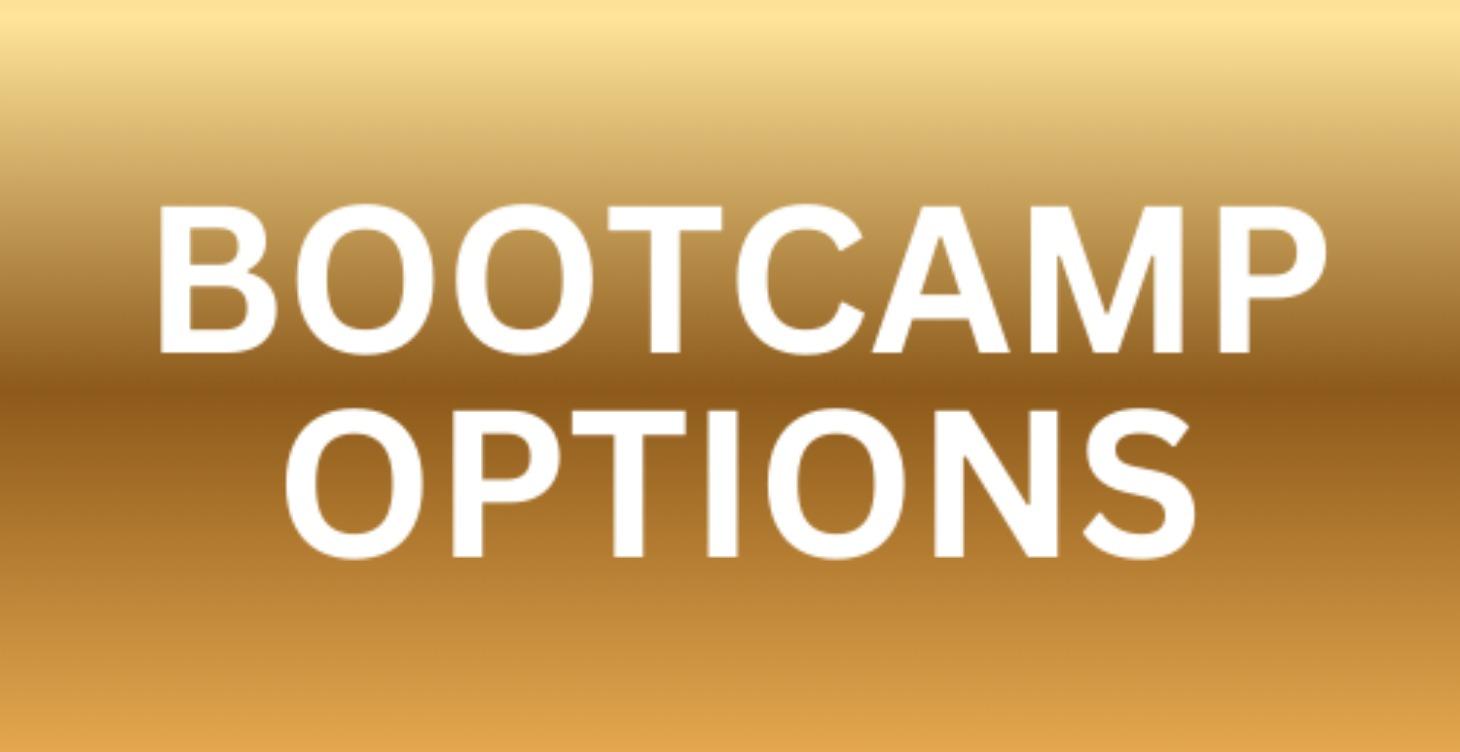 Bootcamps (Online / In Person)