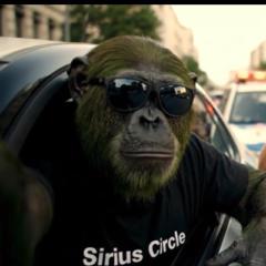 Chimpanvert Tres vert