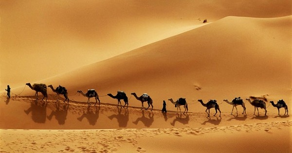 Shifa Alhaddabi