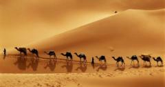 Shifa Alhaddabi