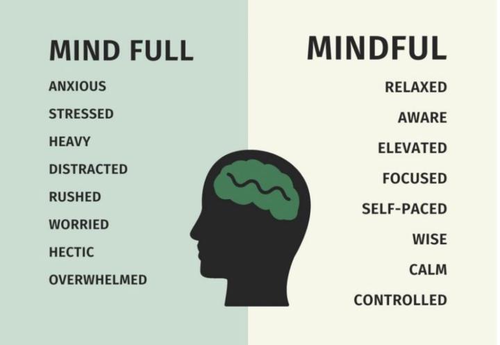 You Are What You Consume: Take Command of Your Mental Diet